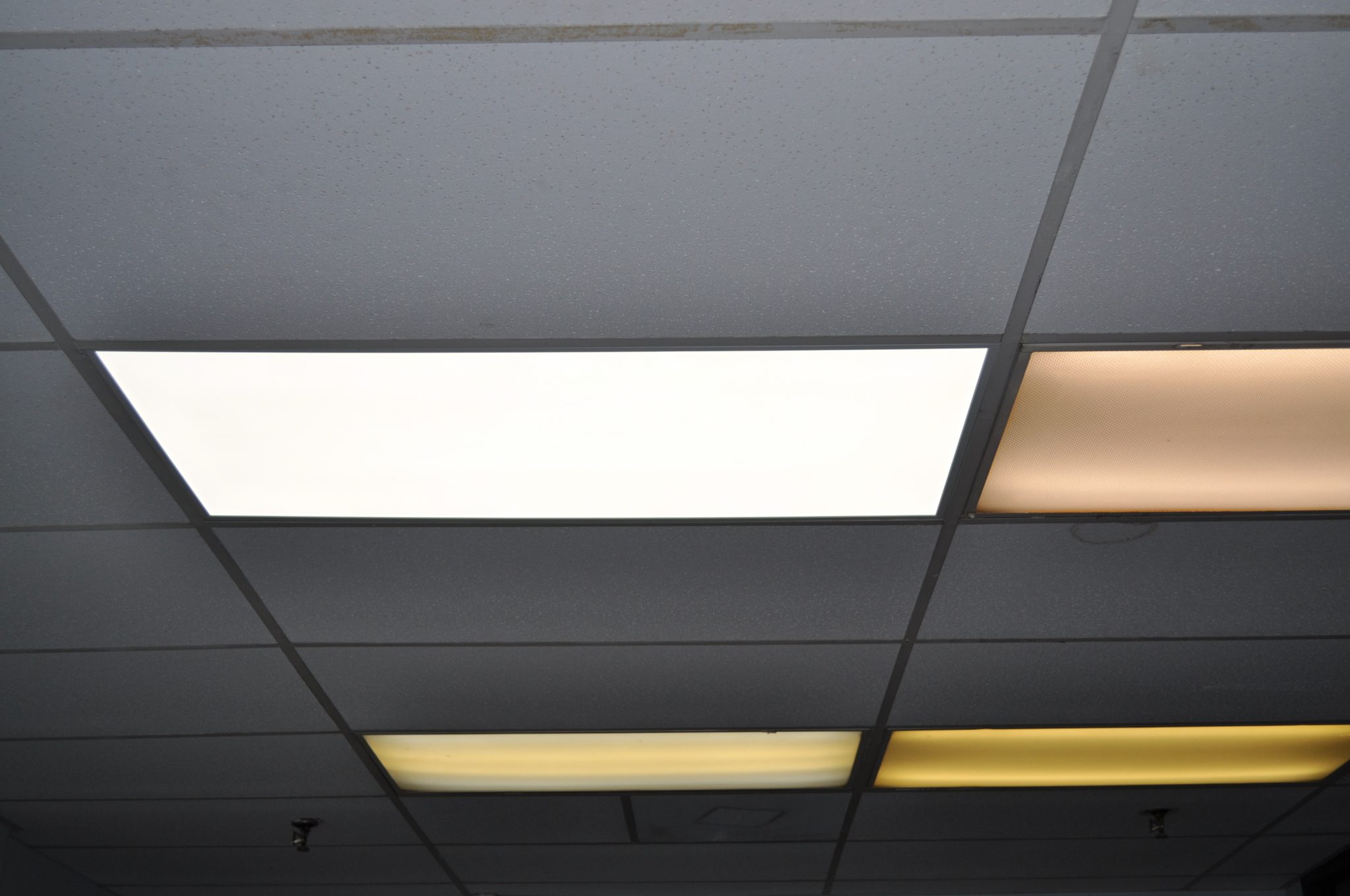 2’x4′ Warm White LED Light Panel 50W 5000 Lumens rh newtons